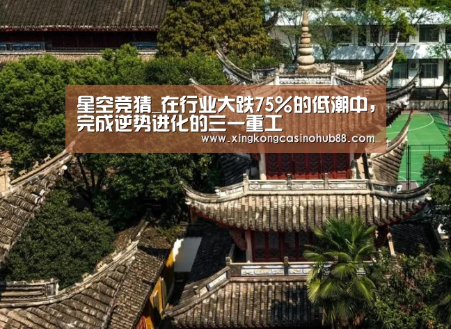 星空竞猜_在行业大跌75%的低潮中,完成逆势进化的三一重工(图1) 星空官网