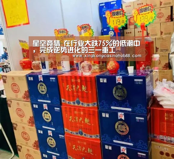 星空竞猜_在行业大跌75%的低潮中,完成逆势进化的三一重工(图3) 星空官网