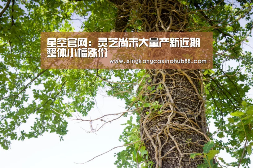 星空官网