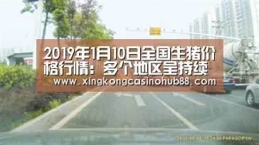 2019年1月10日全国生猪价格行情:多个地区呈持续下跌趋势!_星空真人(图1) 星空真人