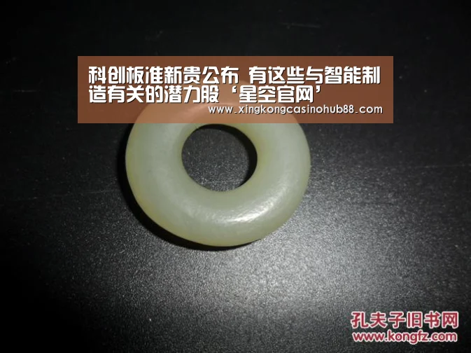 科创板准新贵公布 有这些与智能制造有关的潜力股‘星空官网’(图2) 星空真人